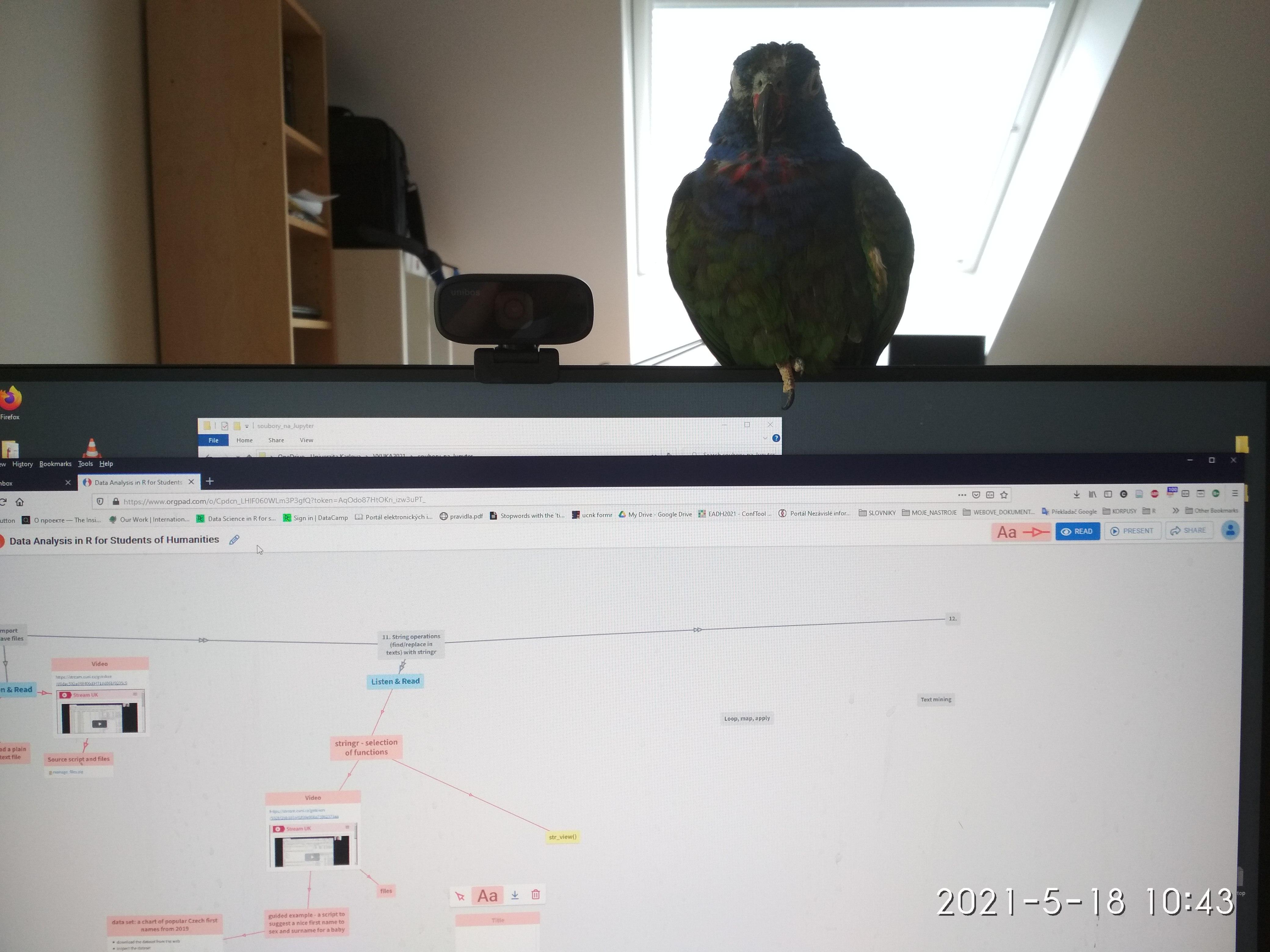 chlora spi na monitoru