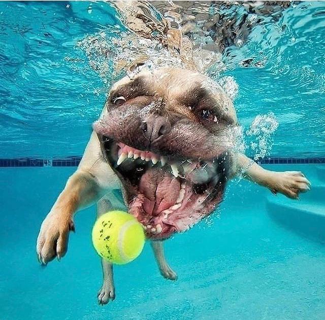 0C09AD9A-B272-4F82-8BF0-D354254A72C2