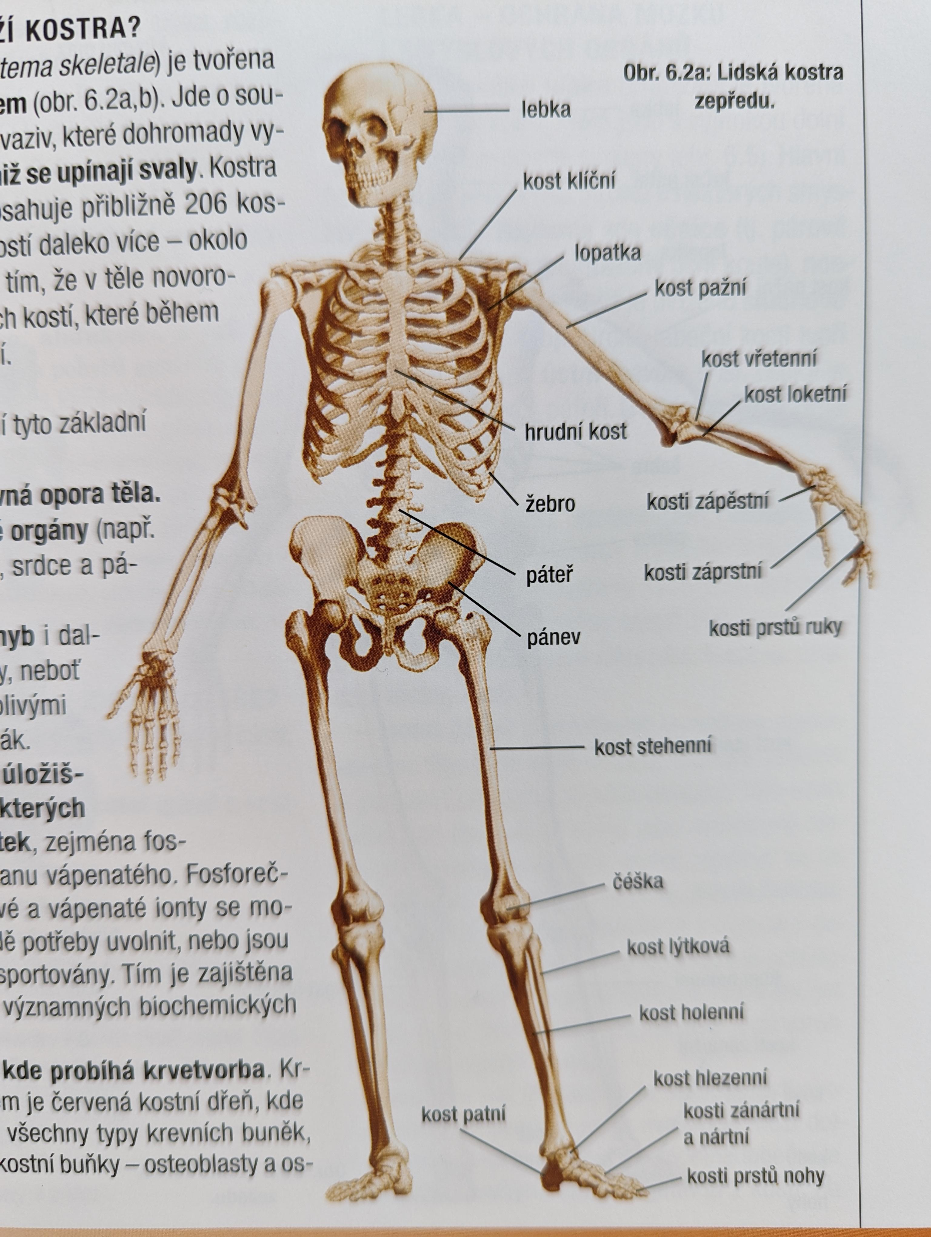 PXL 20221002 080540696