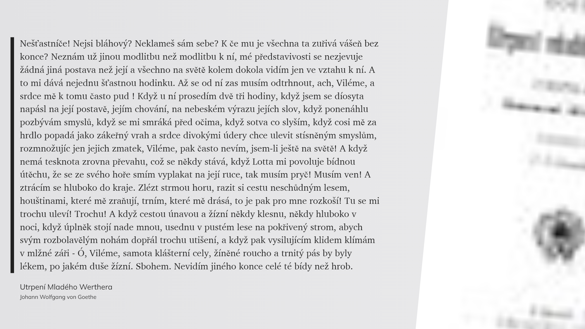Utrpení Mladého Werthera (28)