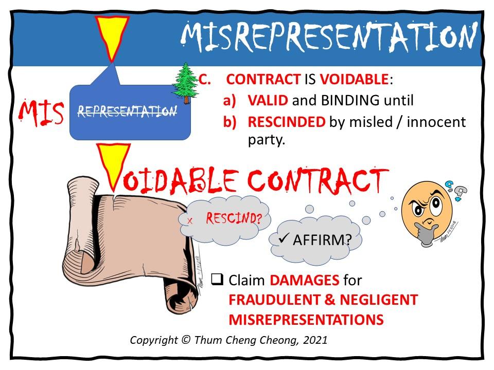 SIMGE-OrgPad-06MisrepresentationEFFECTS