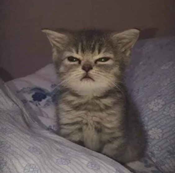 d8839d55bf31c3b5287961ef6be26cec