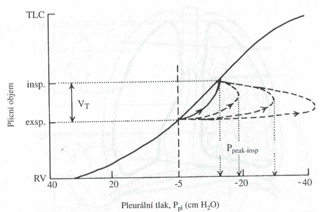 Dynamický odpor během inspiria