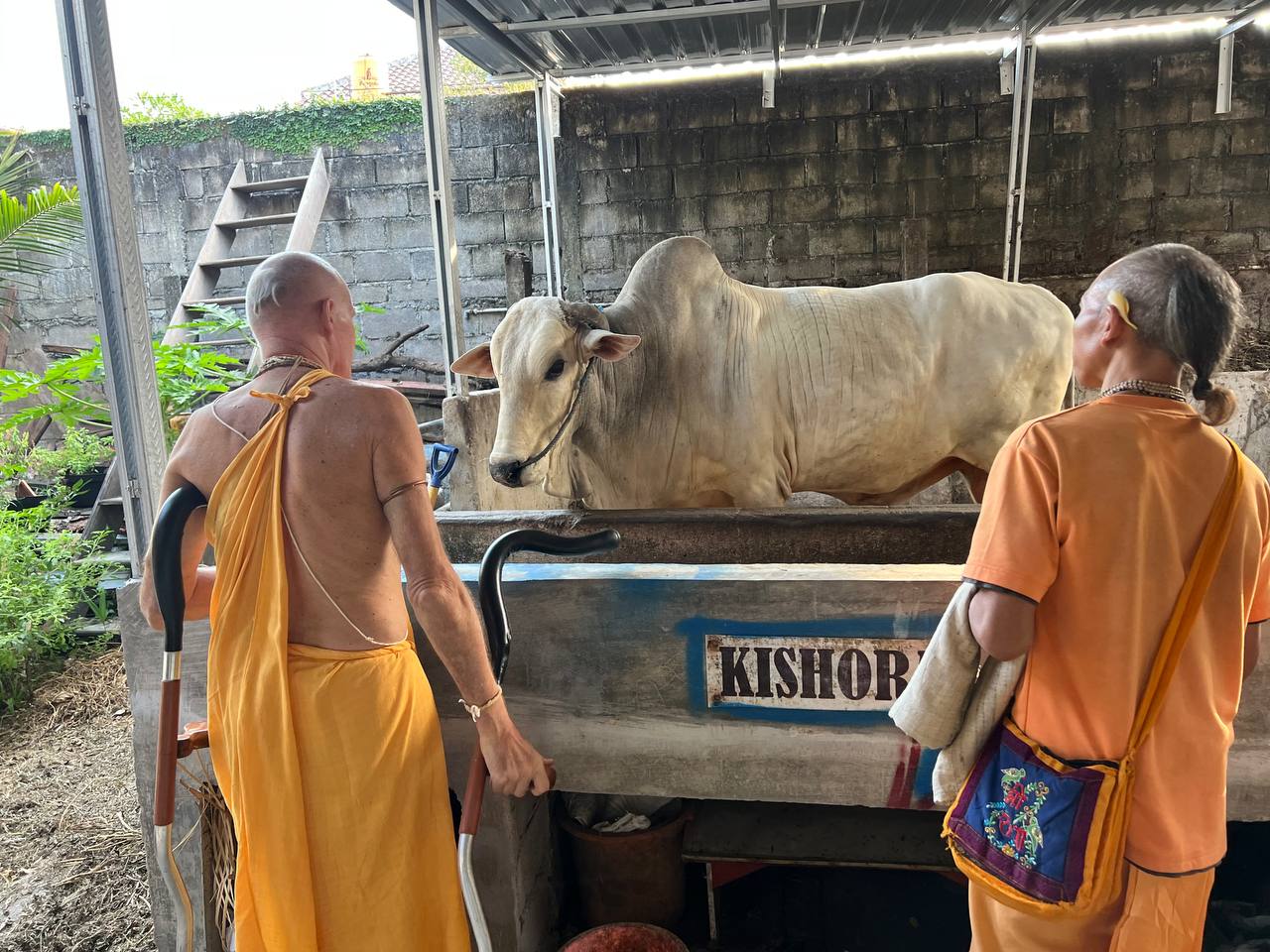 photo 3 2023-09-26 12-38-59