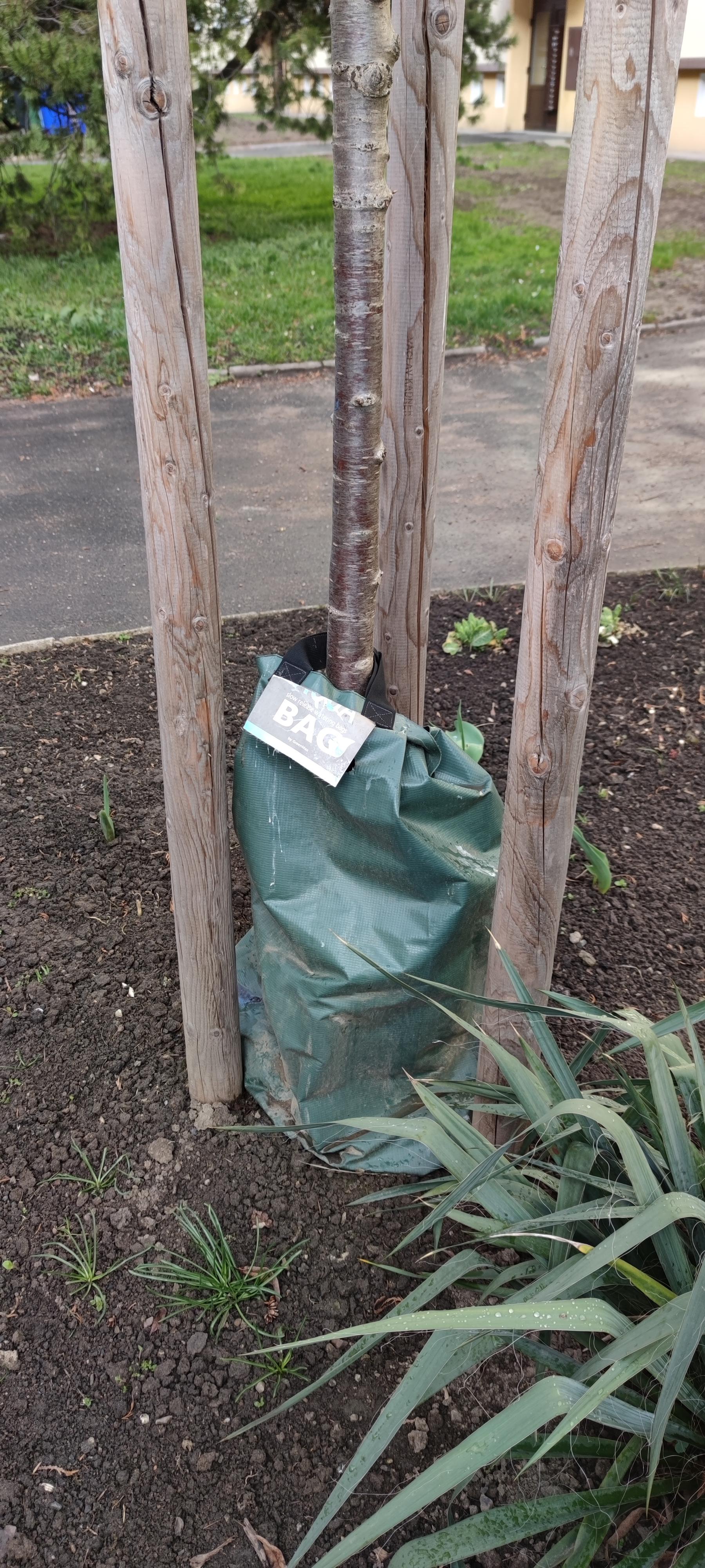 16178107594384411001036277435371