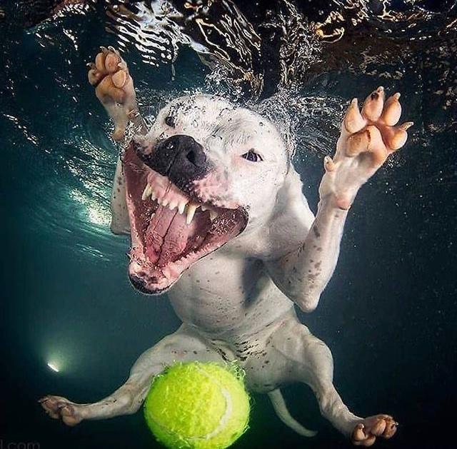 662E82C4-B4C7-4ECB-A81B-D30D145AEB60