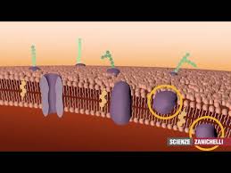 9766830c-72de-410e-8e09-1432138ed871