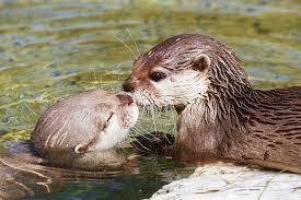 97fc91da-5262-4945-80a7-4dc63ecba931