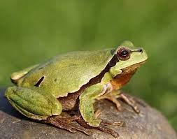 9794618d-b8b1-4ce4-b55f-ada44bb5a96b