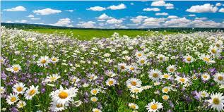 97be9d56-e517-4fd1-b0e8-69b0f0ef60e1