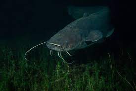 98d43b3c-adaa-4e5f-8fa5-fd36d8f65446