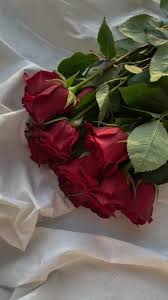 images (5)