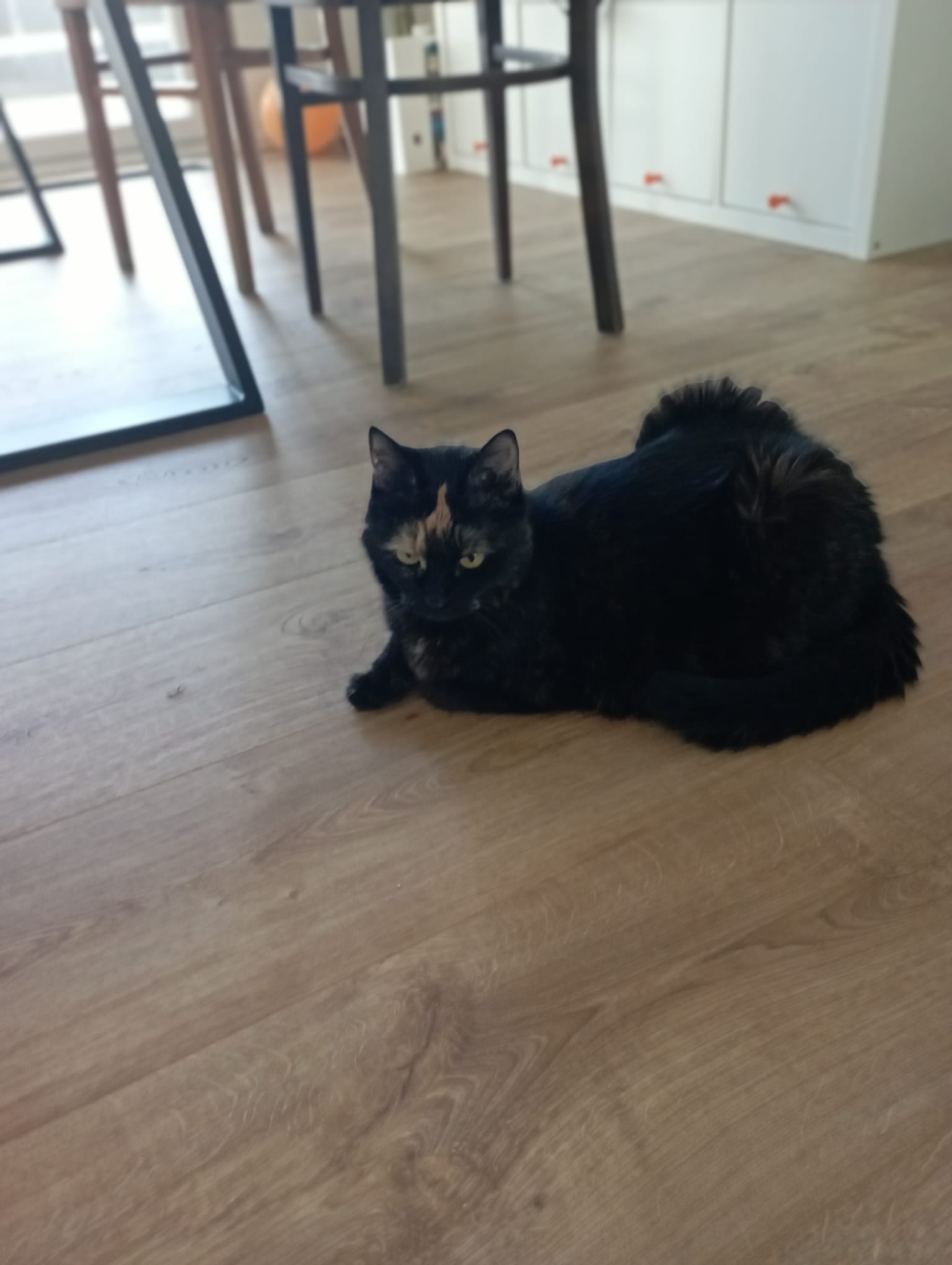 8e798ae9-bb72-4952-ab1a-52395e69b17d