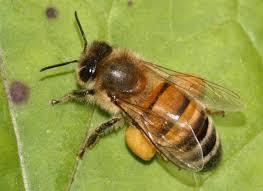 99a8e810-f94c-4ce3-a9e5-240c243a4785