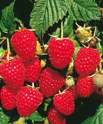 bf881b3a-b993-443f-b6ea-e873390af01b