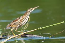 9a9b4264-4c99-4ced-a4b5-84181d7ebca6