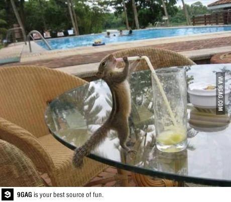 cf4596e3cb5ae2e80cb94693ec8a58a1