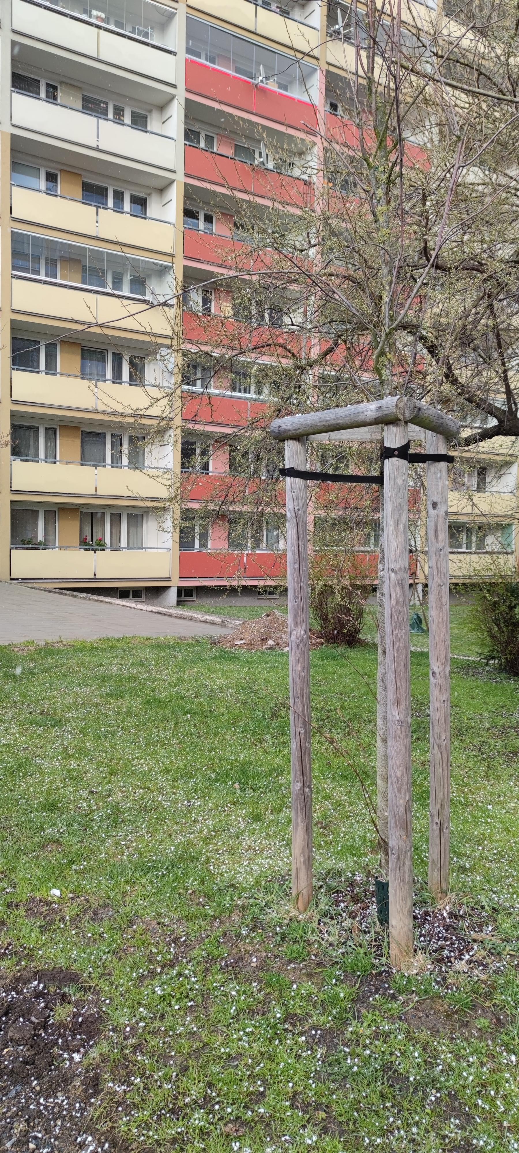 16178090502778199533541218471813