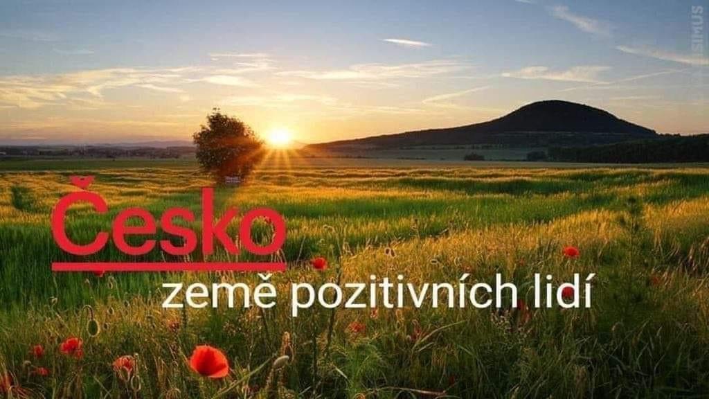 122804479 1550737955136677 3635574183420528777 o