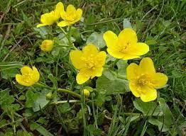 9e004877-9a94-4234-937f-db152a2640cc