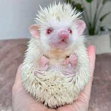 9e0a6053-2be7-4277-87d7-e61c7c90b1fb