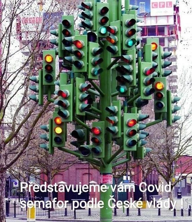 118561215 640680836833702 1535544855911020626 n