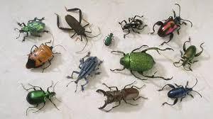 9e542591-c851-4873-ab37-9e5089ec5255