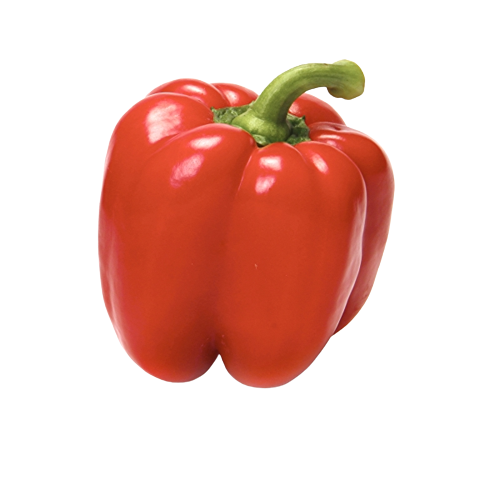 5b34f624e54acd7021de4922 redbellpepper-1. TTD . SR600 600 . QL100 -removebg-preview