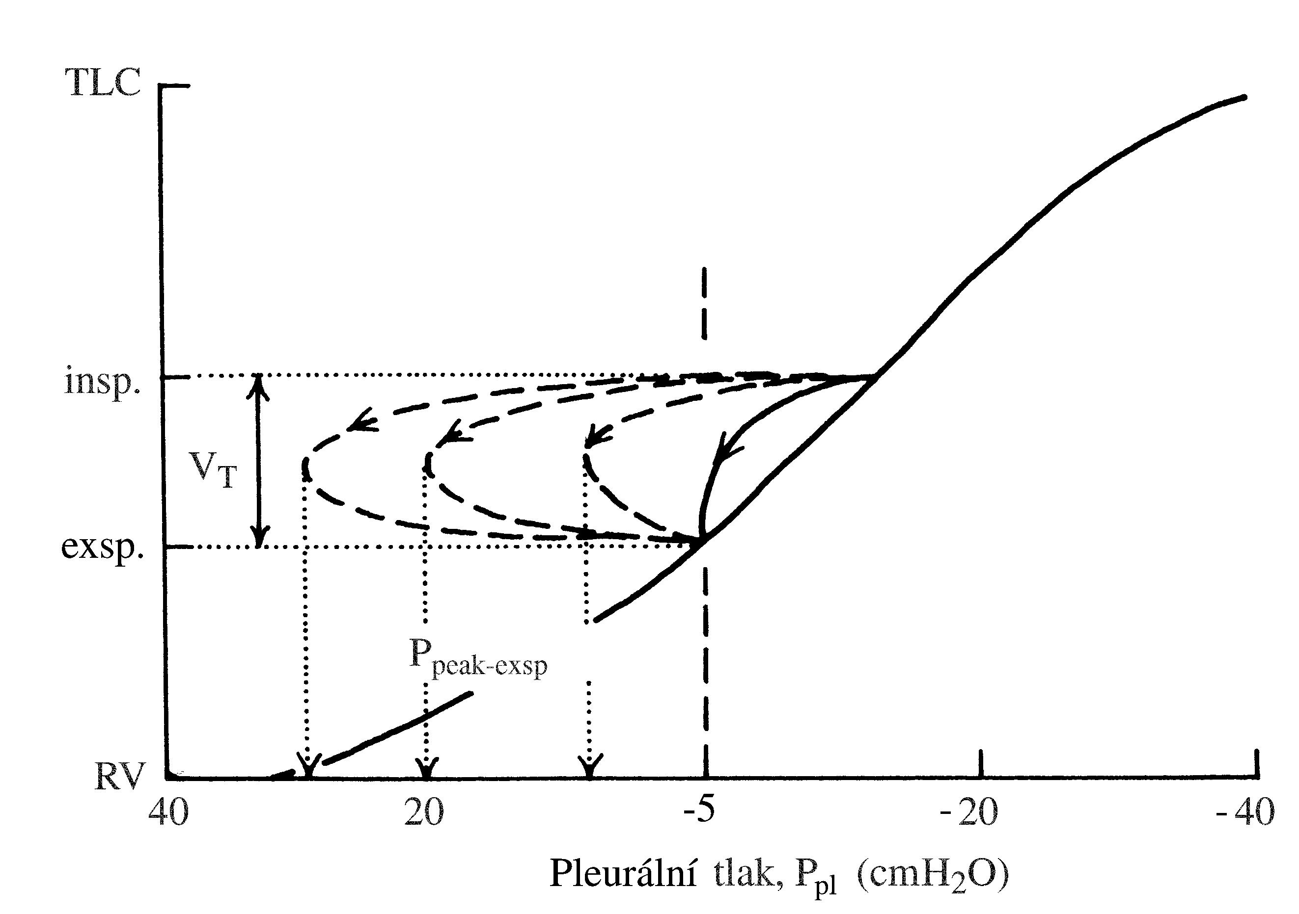 2021 Patologicka fyzio 1 Page 321 Image 0001