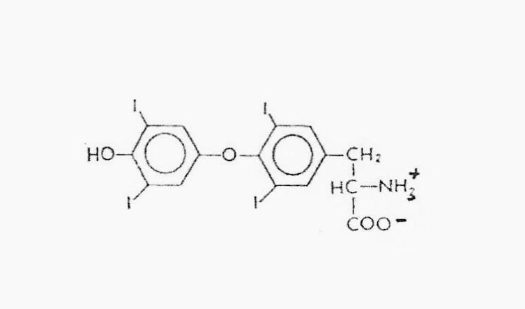 2022-12-07 092284 10