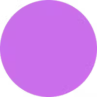 orchid-circle-basic