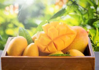 a02875bf-0ccf-4a88-92f7-2b790a0e8c49