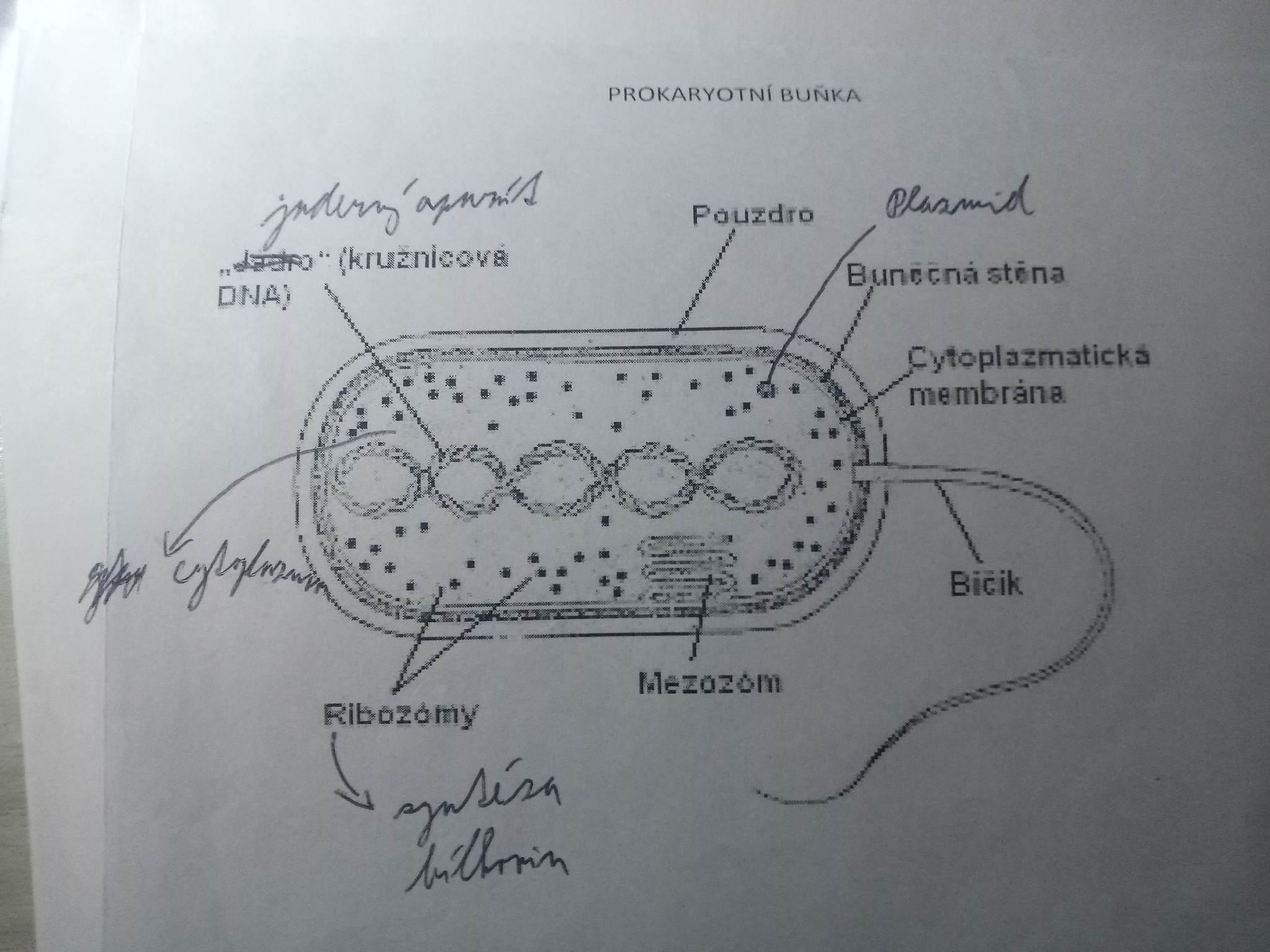 316346821 450194827187340 4825050427132042645 n