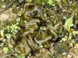 a0ac5252-4398-4907-9369-d4e1dff40056