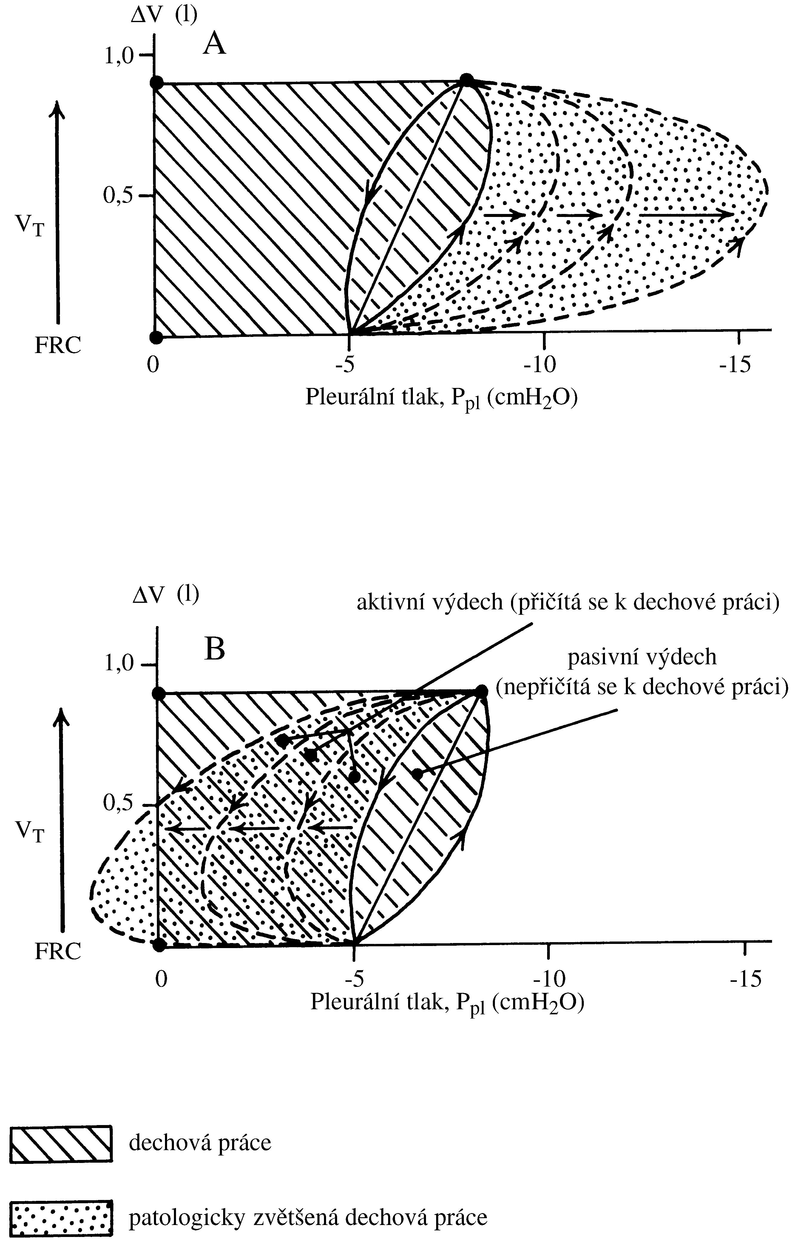 2021 Patologicka fyzio 1 Page 325 Image 0001