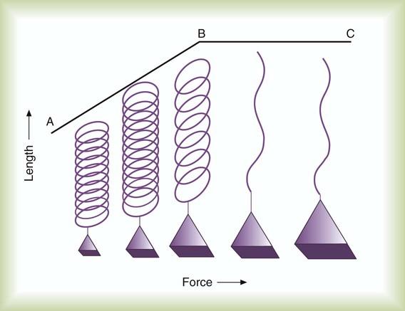 B9780323082037000105 f010-003-9780323082037