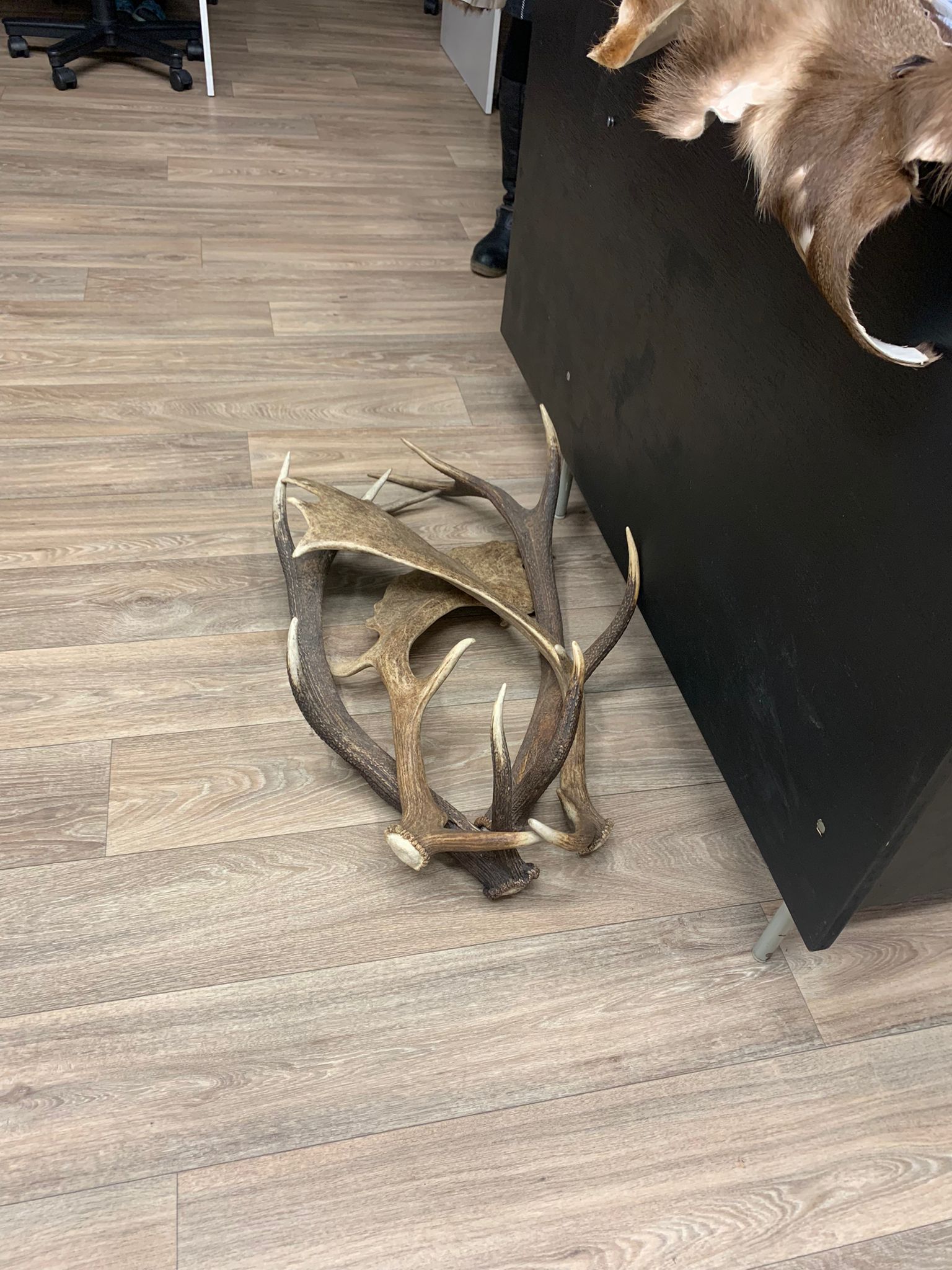 076c29ad-59be-4191-9759-ae4f3e63420f