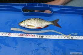 a349f2fe-6d22-492d-a338-de3f61be01f3