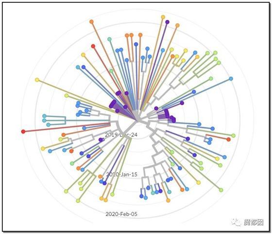 main-qimg-6b4cd2d95b758676fa6dc5b41c77013d
