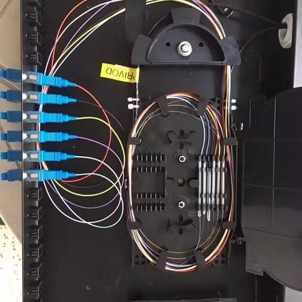 49615157 2573090386064942 7711432858765623296 n