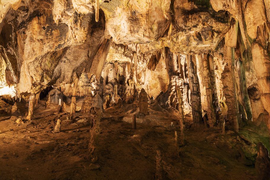 dc4b3f49da328cfe35ee2e6e851d9003ed9f0c6d