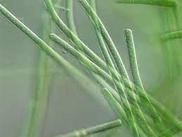 a45c6caa-9922-48c7-bcd4-b589e065815c