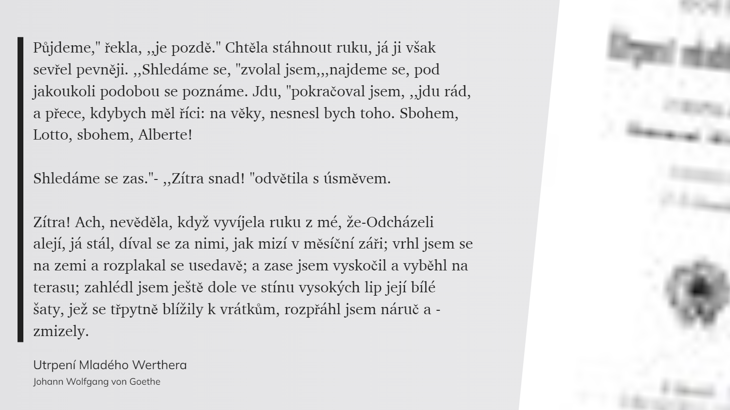 Utrpení Mladého Werthera (29)