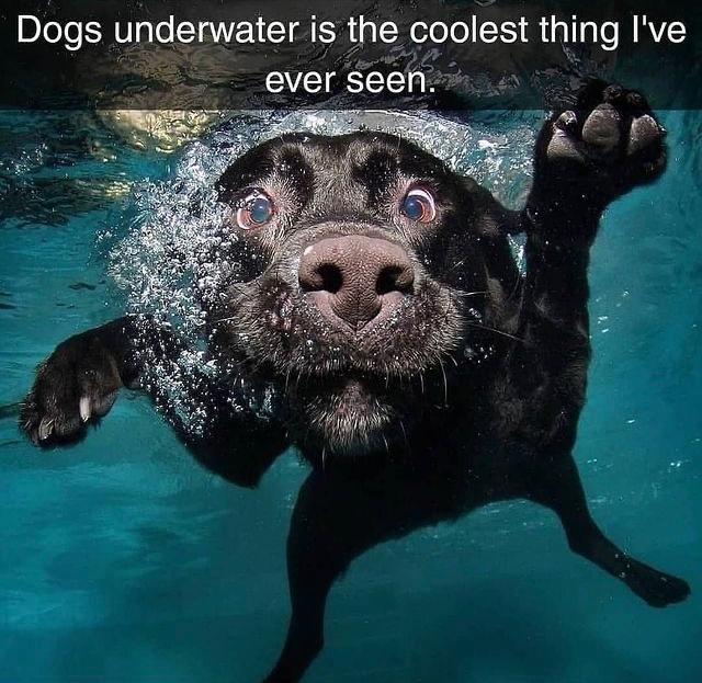 F52C7A3B-A062-4DAC-8762-93376359F278