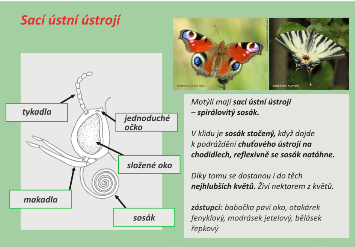 152552100 1154941781610704 7531073921664809705 n (1)