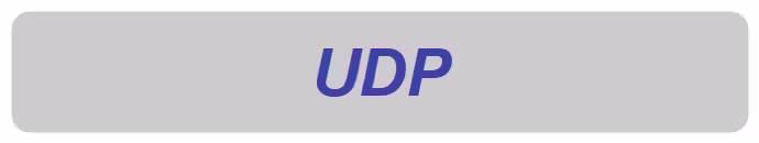 UDP