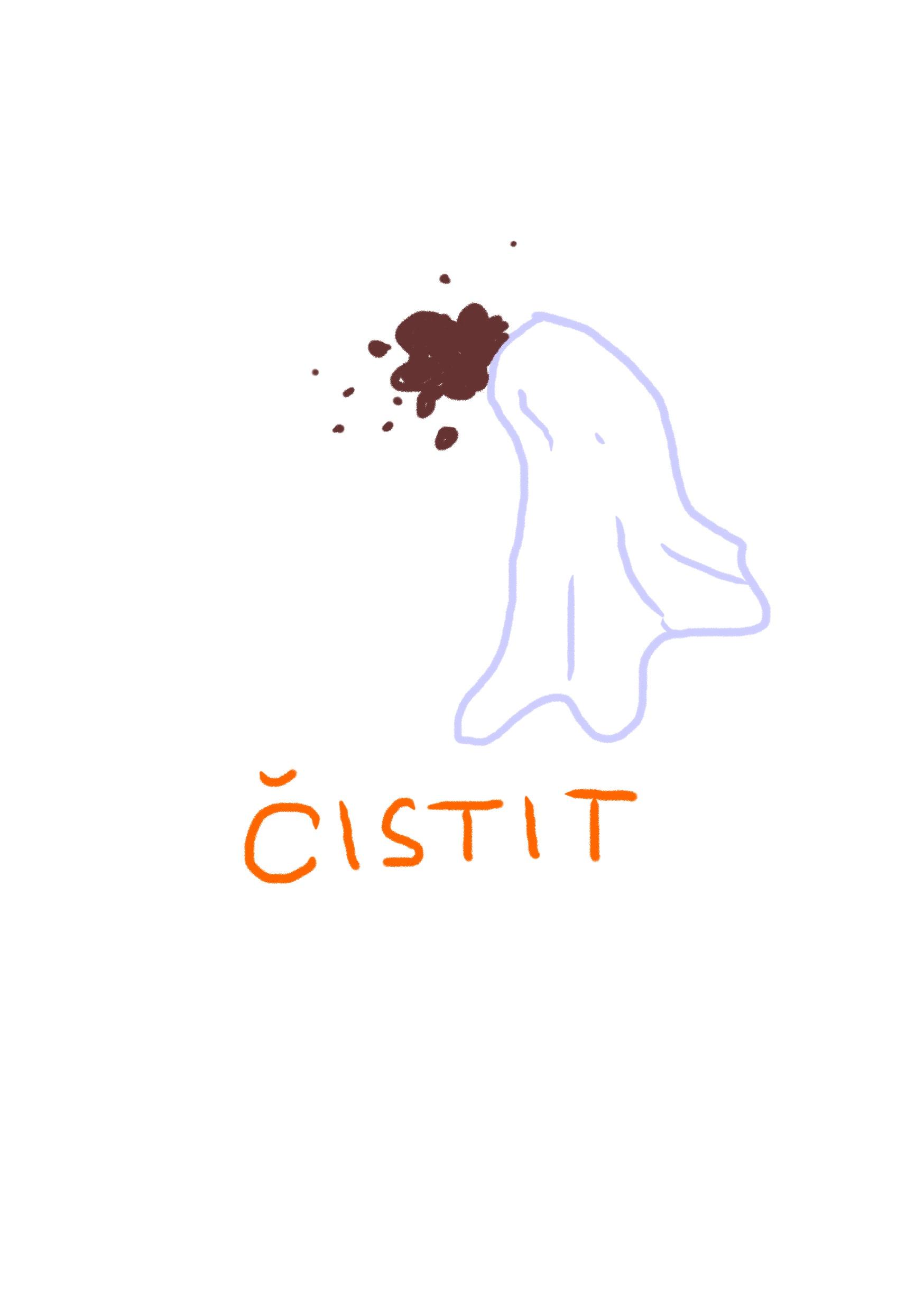 cist