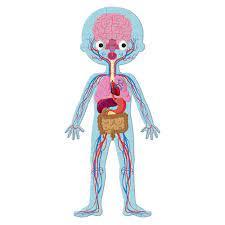 a8250ac6-d25e-4d0e-b024-9071e09572bc