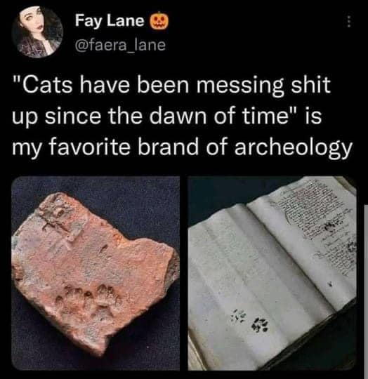 příběh - kočka v dějinách