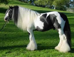 a9ea9818-60fd-484b-8963-ca7ef7e54d5e